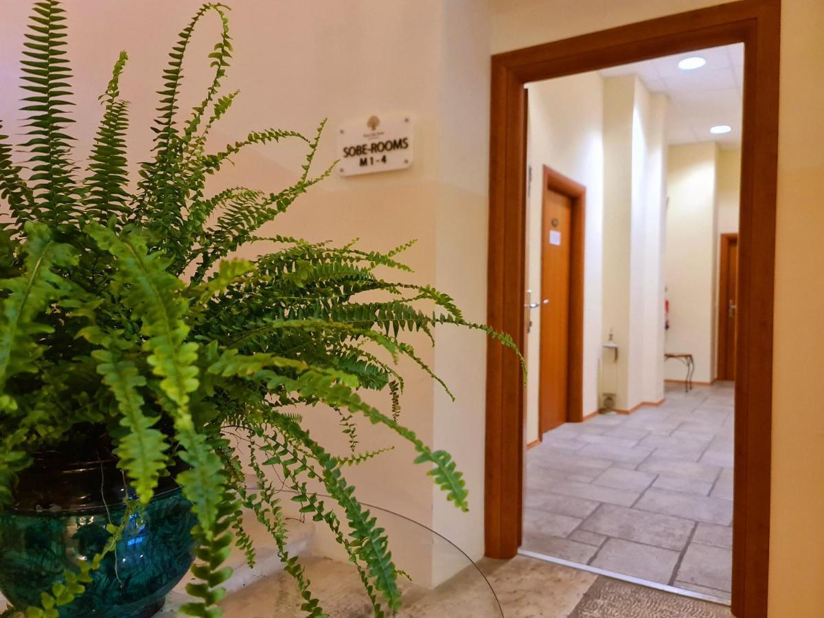 Hotel Stara šola - Oleander Resort Korte Exterior foto